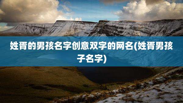 姓胥的男孩名字创意双字的网名(姓胥男孩子名字)
