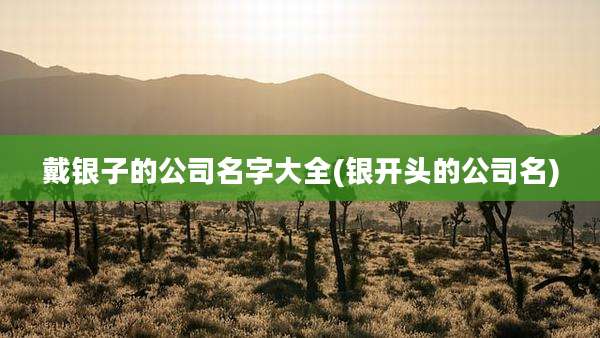 戴银子的公司名字大全(银开头的公司名)