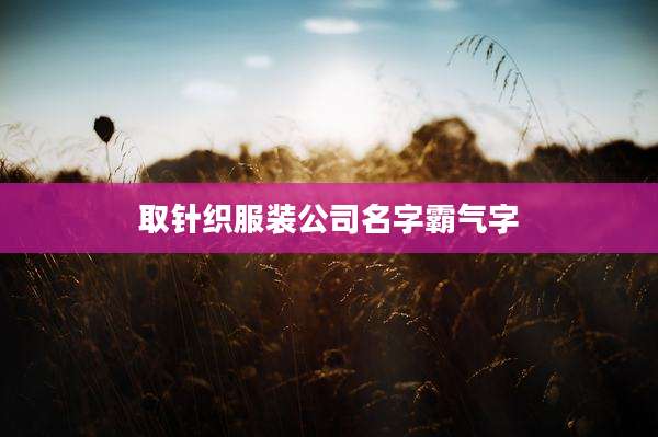 取针织服装公司名字霸气字