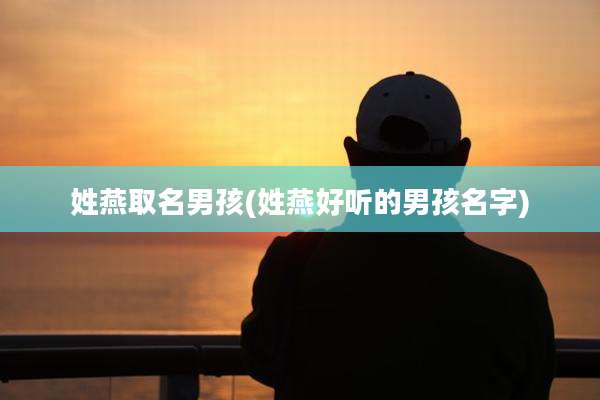 姓燕取名男孩(姓燕好听的男孩名字)