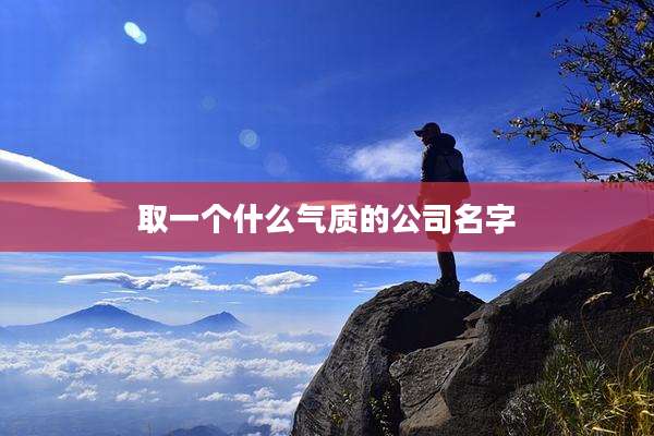 取一个什么气质的公司名字