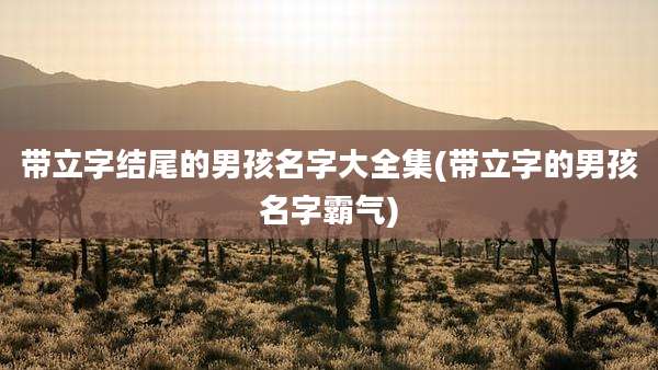 带立字结尾的男孩名字大全集(带立字的男孩名字霸气)