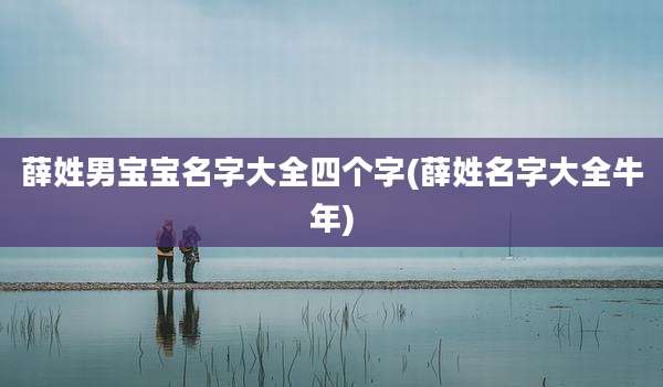 薛姓男宝宝名字大全四个字(薛姓名字大全牛年)