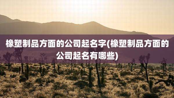 橡塑制品方面的公司起名字(橡塑制品方面的公司起名有哪些)