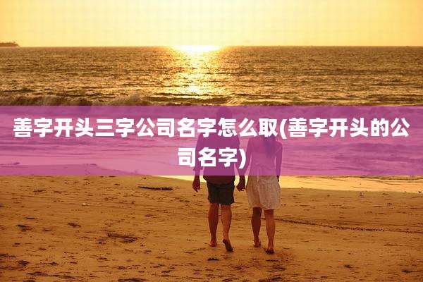 善字开头三字公司名字怎么取(善字开头的公司名字)