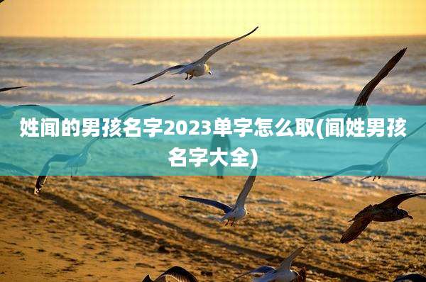 姓闻的男孩名字2023单字怎么取(闻姓男孩名字大全)