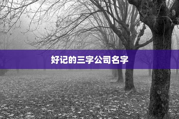 好记的三字公司名字