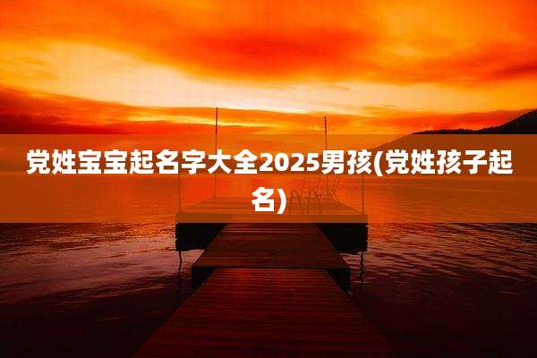 党姓宝宝起名字大全2025男孩(党姓孩子起名)