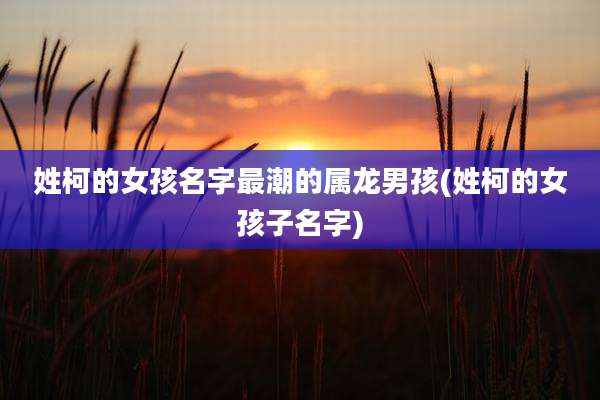 姓柯的女孩名字最潮的属龙男孩(姓柯的女孩子名字)