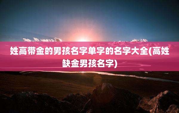 姓高带金的男孩名字单字的名字大全(高姓缺金男孩名字)