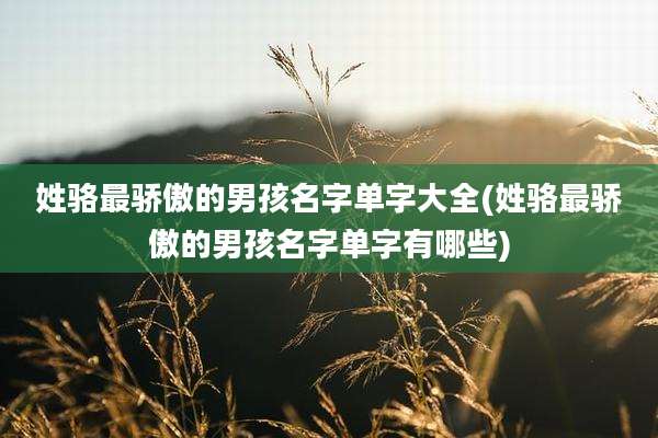 姓骆最骄傲的男孩名字单字大全(姓骆最骄傲的男孩名字单字有哪些)