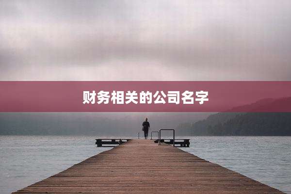 财务相关的公司名字