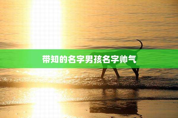 带知的名字男孩名字帅气