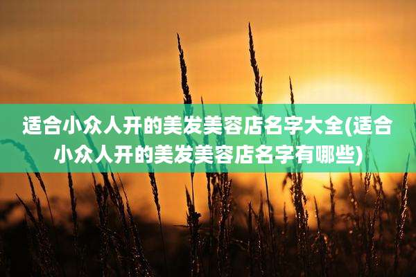 适合小众人开的美发美容店名字大全(适合小众人开的美发美容店名字有哪些)