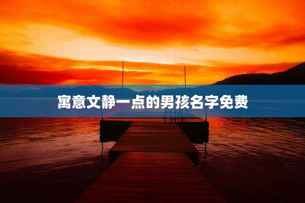 寓意文静一点的男孩名字免费