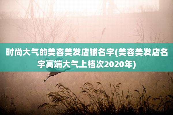 时尚大气的美容美发店铺名字(美容美发店名字高端大气上档次2020年)