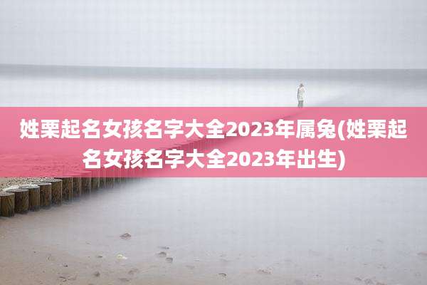 姓栗起名女孩名字大全2023年属兔(姓栗起名女孩名字大全2023年出生)