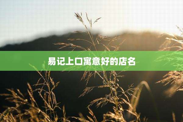 易记上口寓意好的店名