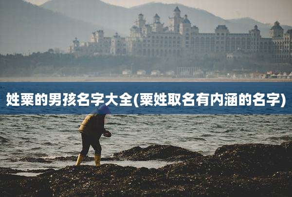 姓粟的男孩名字大全(粟姓取名有内涵的名字)