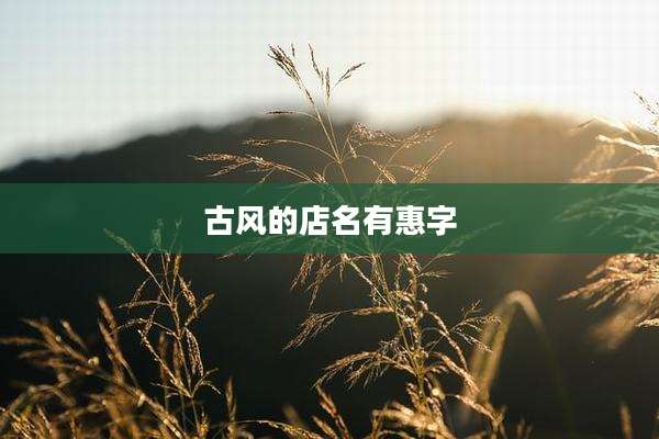 古风的店名有惠字