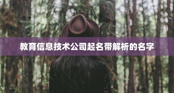 教育信息技术公司起名带解析的名字