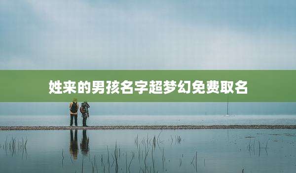 姓来的男孩名字超梦幻免费取名