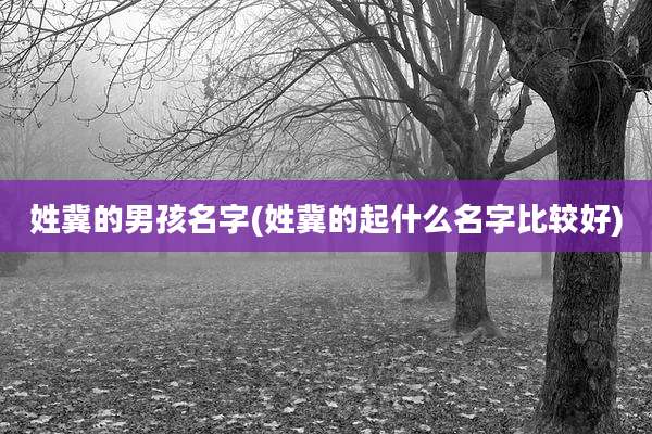 姓冀的男孩名字(姓冀的起什么名字比较好)