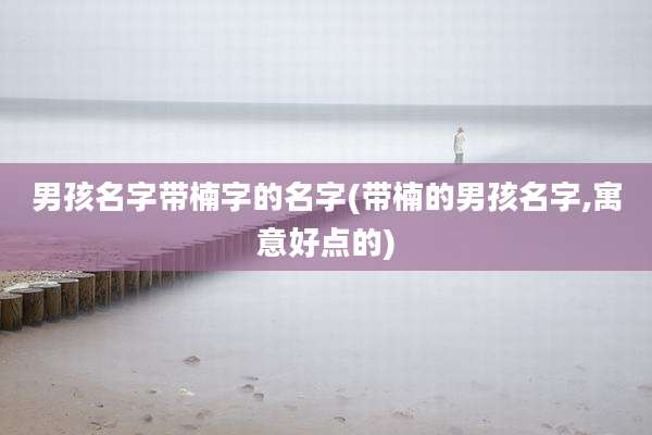 男孩名字带楠字的名字(带楠的男孩名字,寓意好点的)