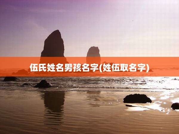 伍氏姓名男孩名字(姓伍取名字)