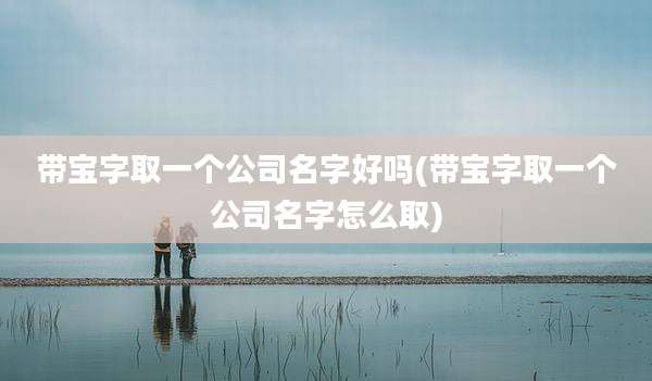 带宝字取一个公司名字好吗(带宝字取一个公司名字怎么取)