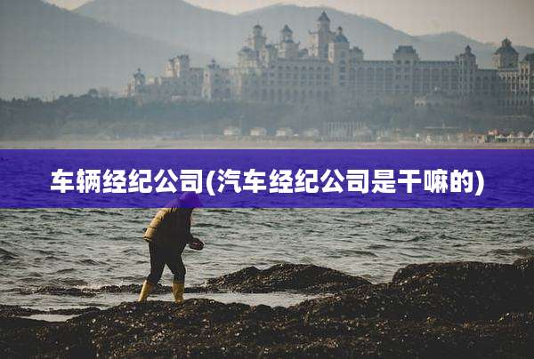 车辆经纪公司(汽车经纪公司是干嘛的)