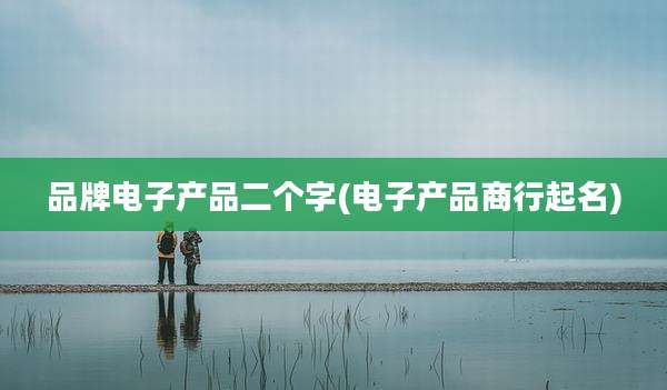 品牌电子产品二个字(电子产品商行起名)