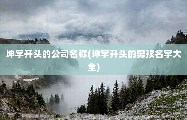 坤字开头的公司名称(坤字开头的男孩名字大全)