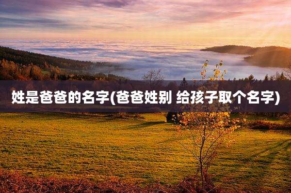 姓是爸爸的名字(爸爸姓别 给孩子取个名字)