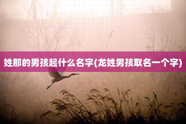 姓那的男孩起什么名字(龙姓男孩取名一个字)