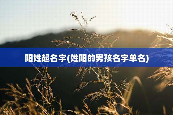 阳姓起名字(姓阳的男孩名字单名)