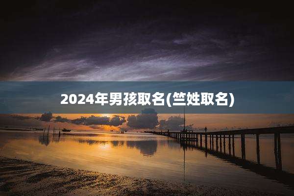 2024年男孩取名(竺姓取名)