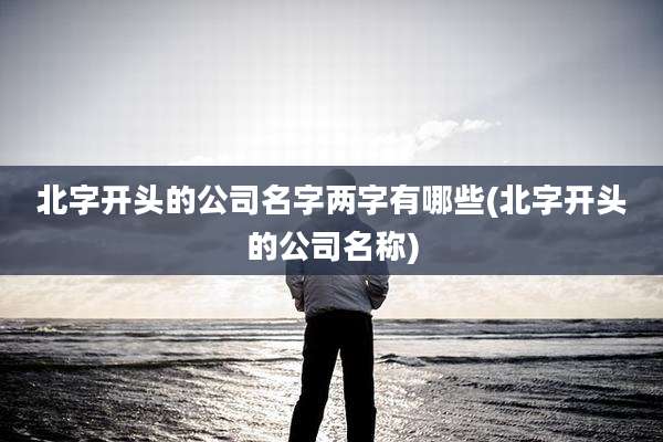 北字开头的公司名字两字有哪些(北字开头的公司名称)