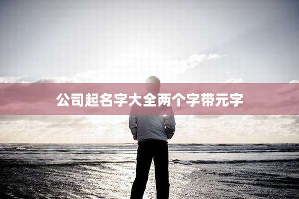 公司起名字大全两个字带元字
