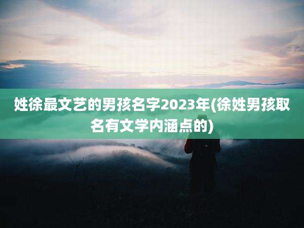 姓徐最文艺的男孩名字2023年(徐姓男孩取名有文学内涵点的)