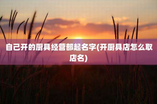 自己开的厨具经营部起名字(开厨具店怎么取店名)