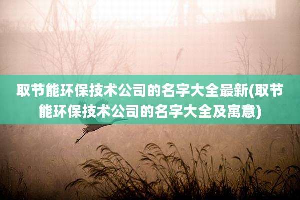 取节能环保技术公司的名字大全最新(取节能环保技术公司的名字大全及寓意)