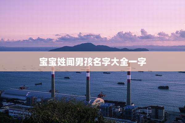 宝宝姓闻男孩名字大全一字