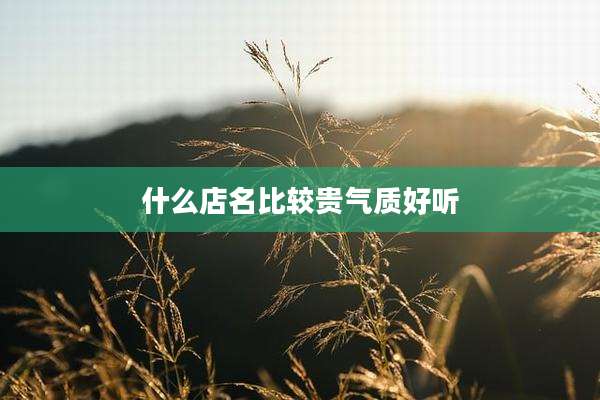 什么店名比较贵气质好听
