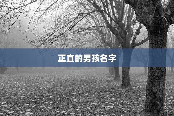 正直的男孩名字