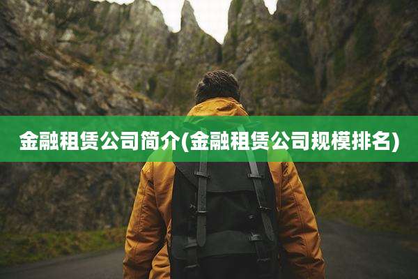 金融租赁公司简介(金融租赁公司规模排名)