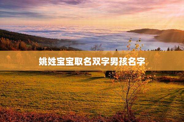 姚姓宝宝取名双字男孩名字
