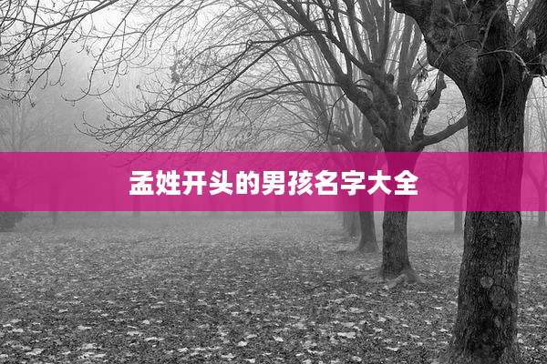 孟姓开头的男孩名字大全