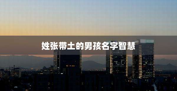 姓张带土的男孩名字智慧