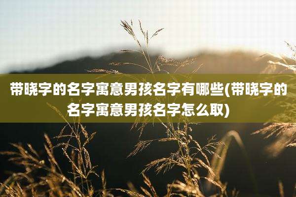 带晓字的名字寓意男孩名字有哪些(带晓字的名字寓意男孩名字怎么取)